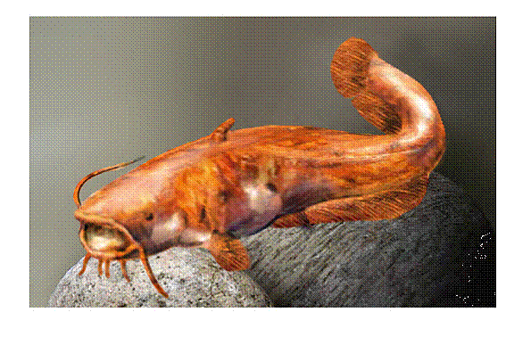 51aefb5eab0b2.gif